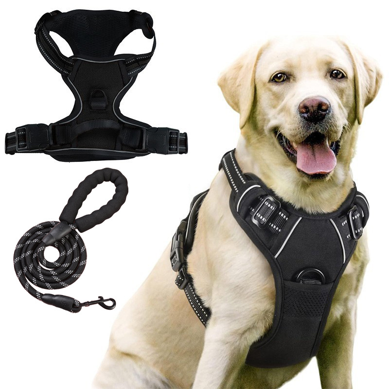 Everyday No-Pull Dog Harness