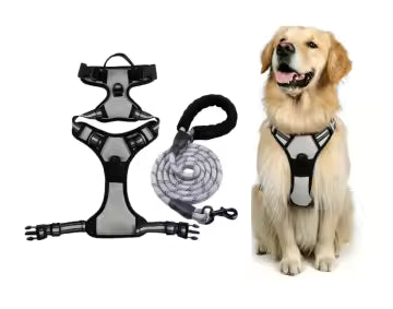 Everyday No-Pull Dog Harness Size S