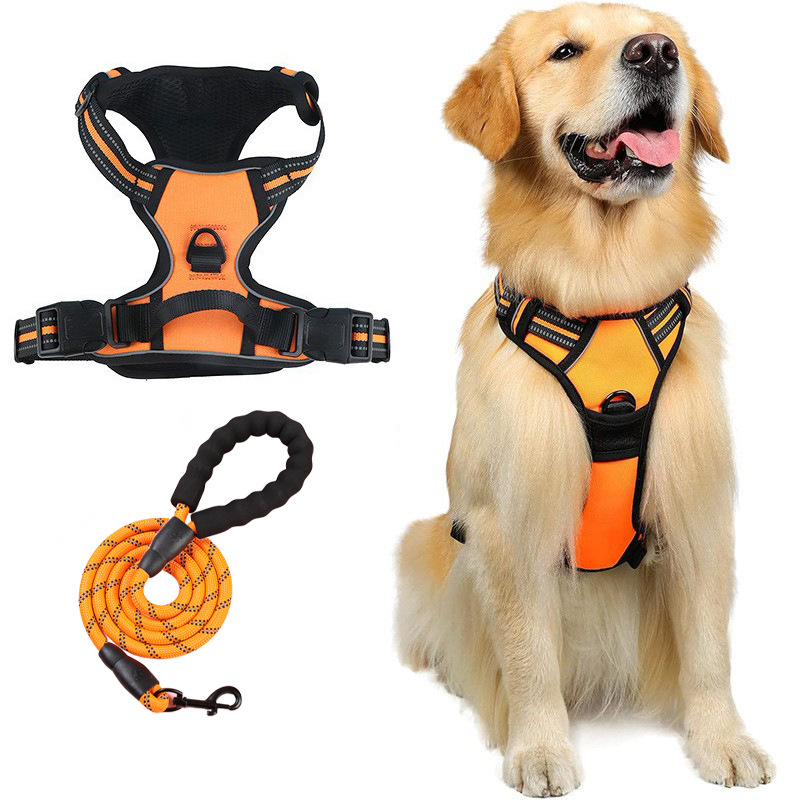 Everyday No-Pull Dog Harness