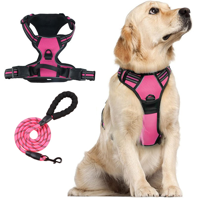 Everyday No-Pull Dog Harness