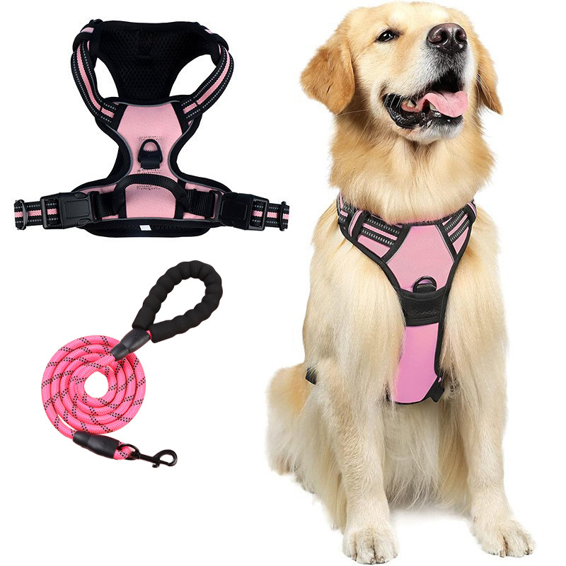Everyday No-Pull Dog Harness