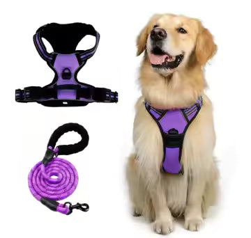 Everyday No-Pull Dog Harness