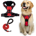 Everyday No-Pull Dog Harness Size S