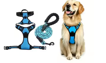 Everyday No-Pull Dog Harness