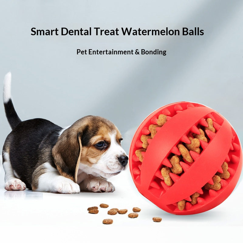 Interactive Dog Treat Rubber Dispenser Balls 6cm